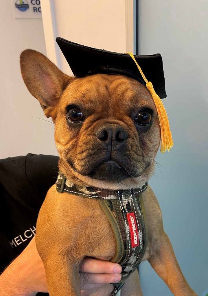 Puppy school photo